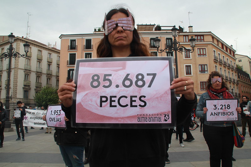 Acto Stop Experimentación Animal #Madrid 2019